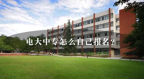 電大中專怎么自己報名？