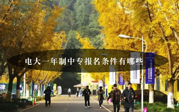 電大一年制中專報名條件有哪些？